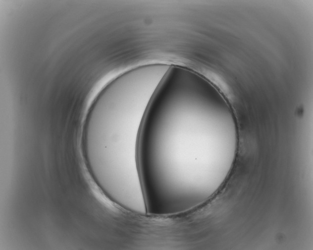 X0000092231136200709140936