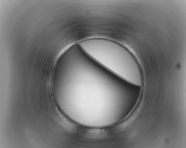 X0000092231137200709140936