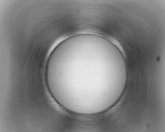 X0000092231138200709140936