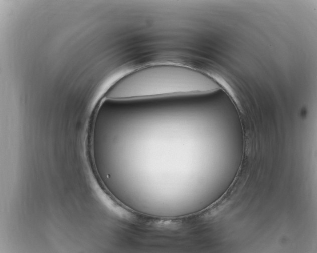 X0000092231139200709140936