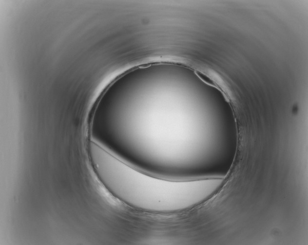 X0000092231140200709140936