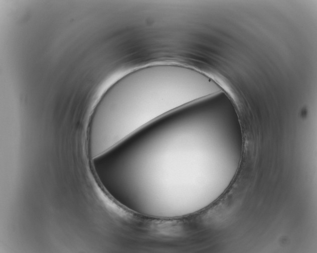 X0000092231143200709140936