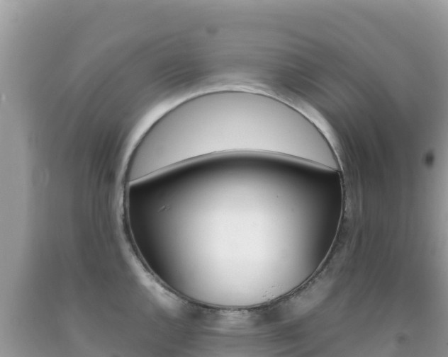 X0000092231144200709140936
