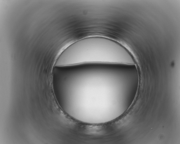 X0000092231145200709140936