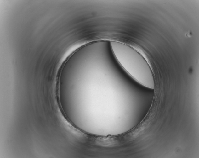 X0000092231147200709140937