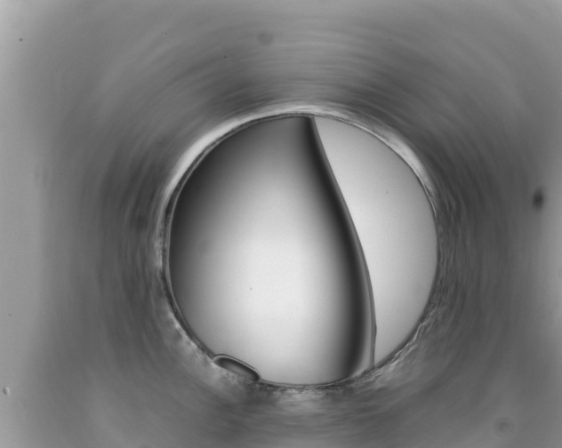 X0000092231148200709140937
