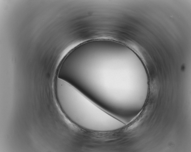 X0000092231149200709140937