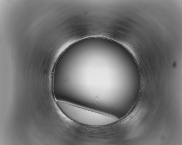 X0000092231151200709140937