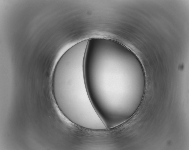 X0000092231152200709140937