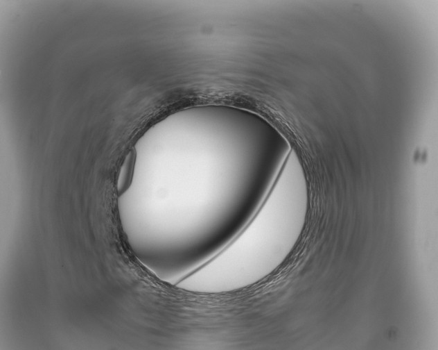 X0000092231153200709140936
