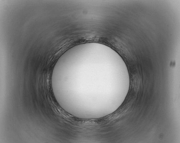 X0000092231154200709140936