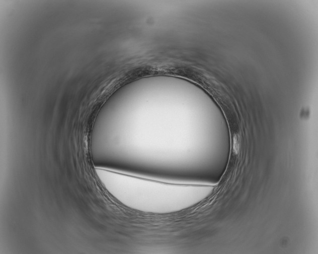 X0000092231155200709140936