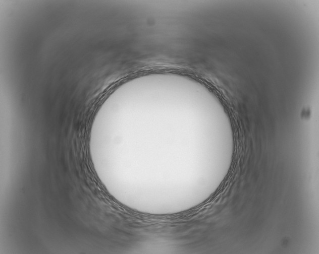 X0000092231157200709140936