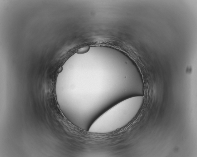 X0000092231158200709140936