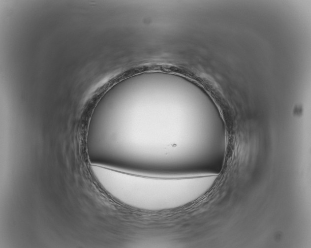 X0000092231159200709140936