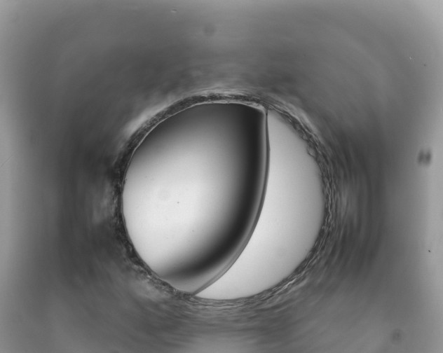 X0000092231160200709140936