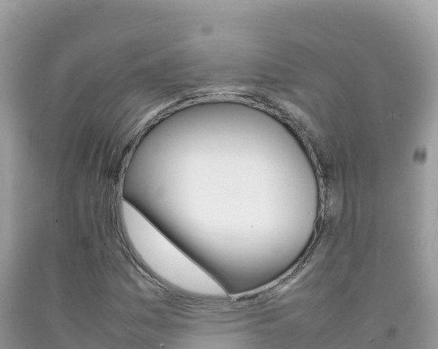 X0000092231161200709140936