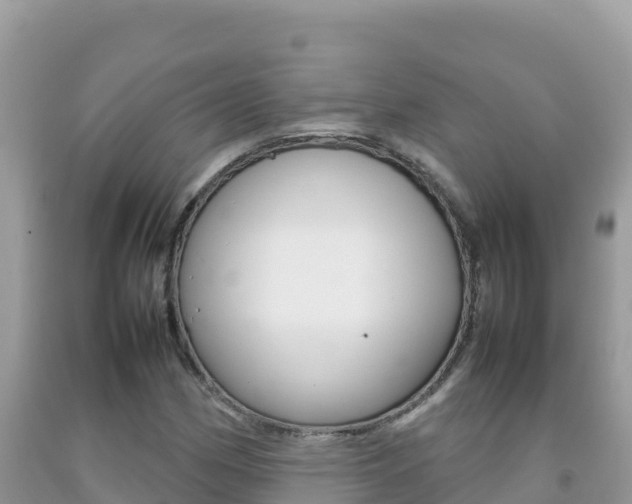 X0000092231162200709140936