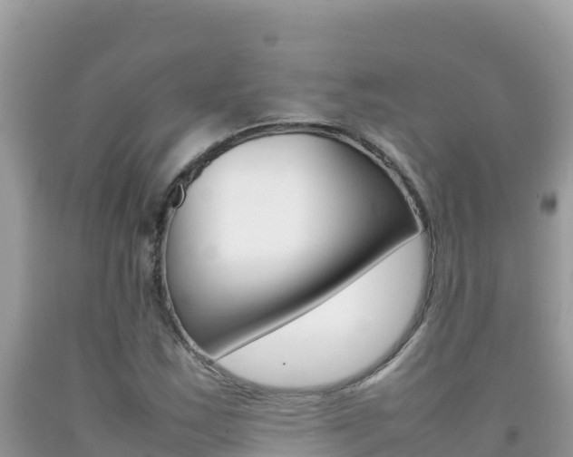 X0000092231163200709140936