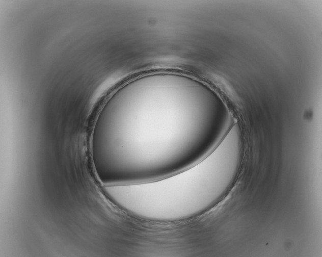 X0000092231164200709140936