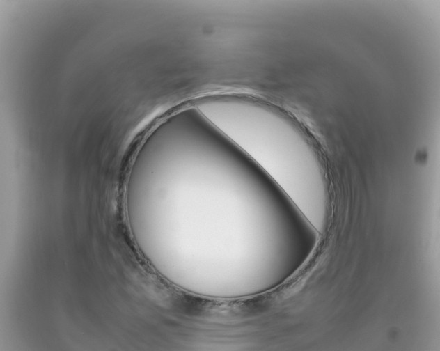 X0000092231165200709140936