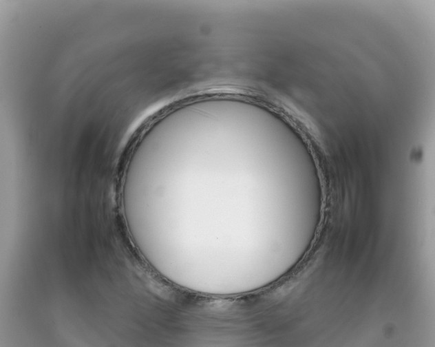 X0000092231166200709140936