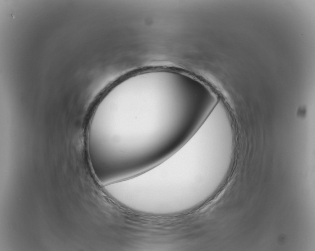 X0000092231167200709140936