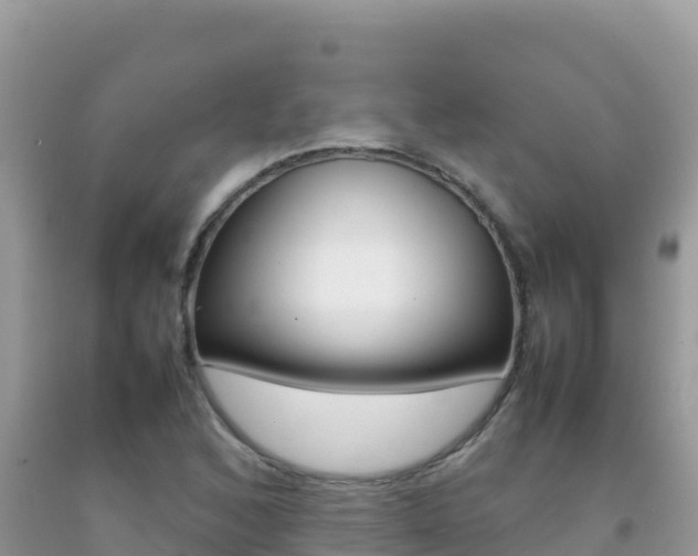 X0000092231168200709140936