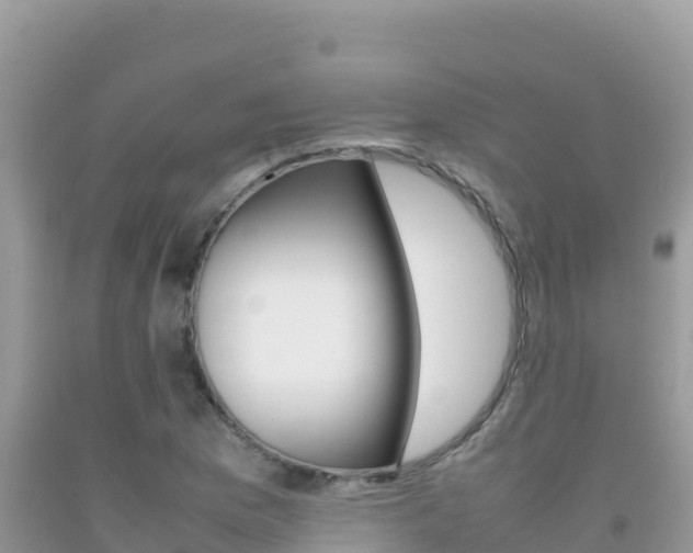 X0000092231169200709140936