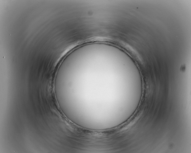 X0000092231170200709140936