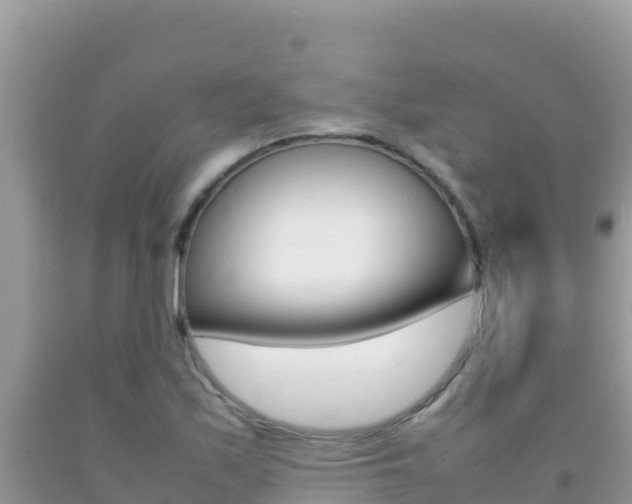X0000092231171200709140936