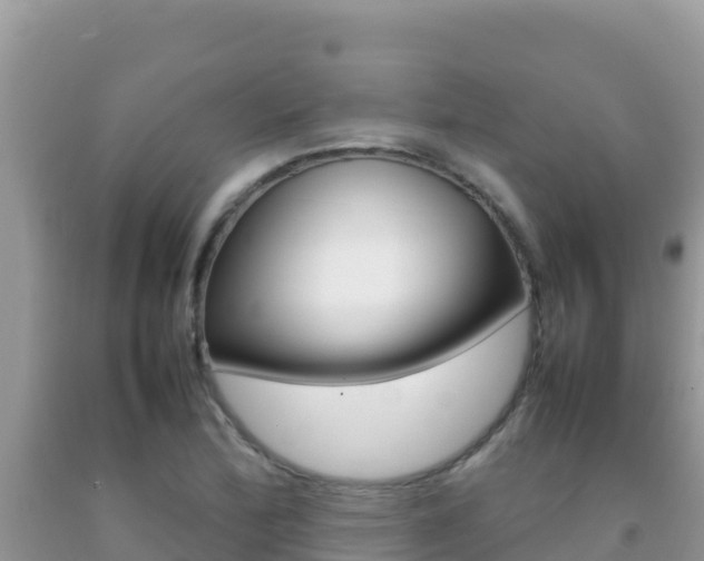 X0000092231172200709140936