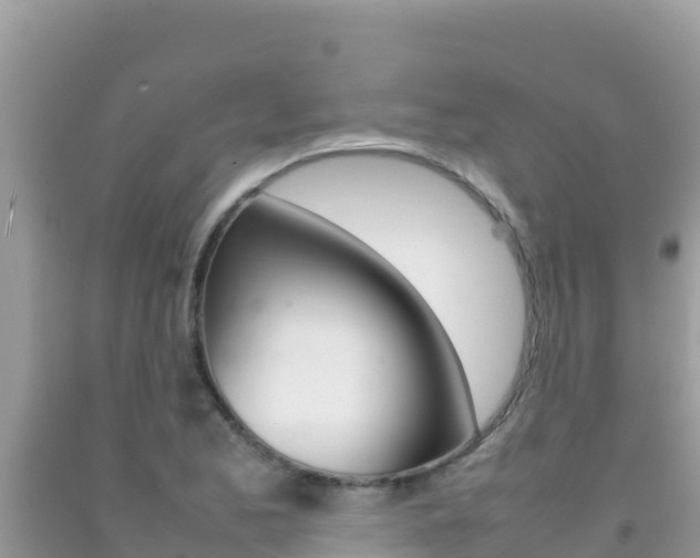 X0000092231173200709140936