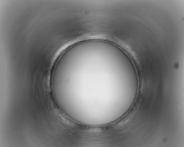 X0000092231174200709140936