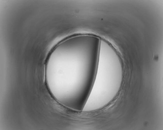 X0000092231175200709140936