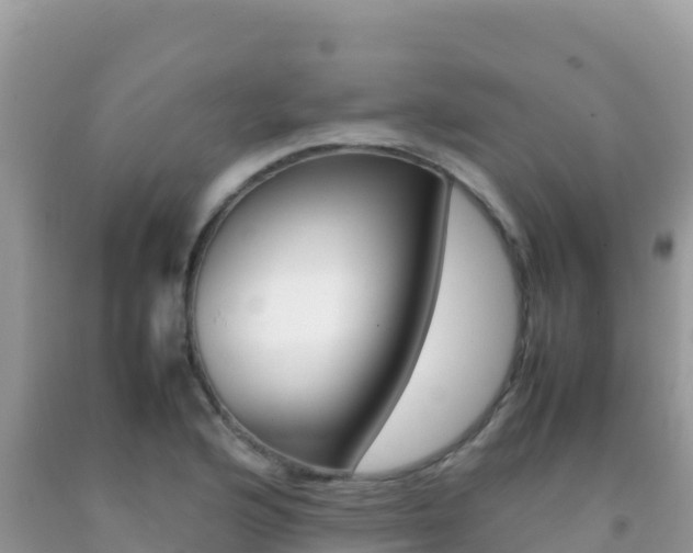 X0000092231176200709140936