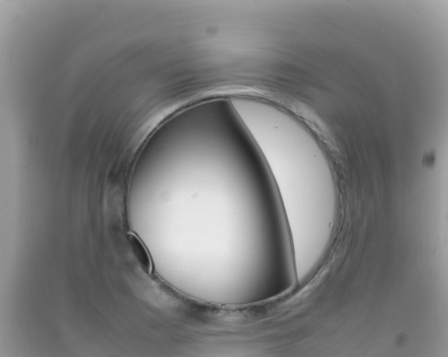 X0000092231177200709140936