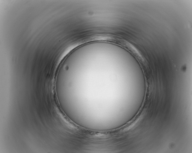 X0000092231178200709140936