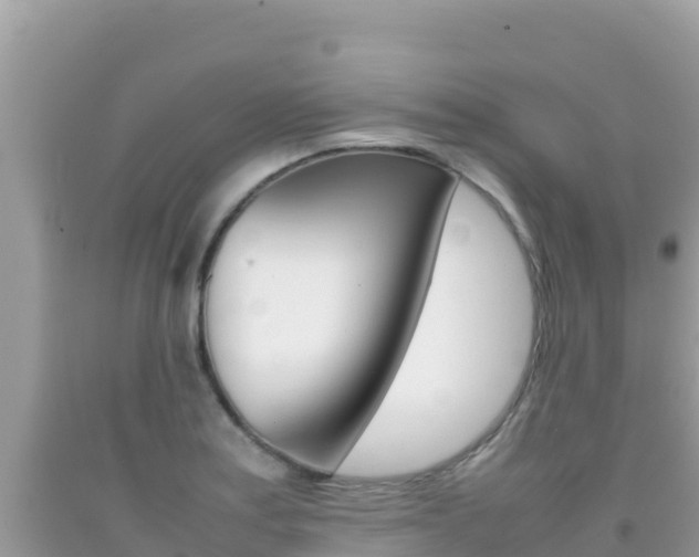 X0000092231179200709140936