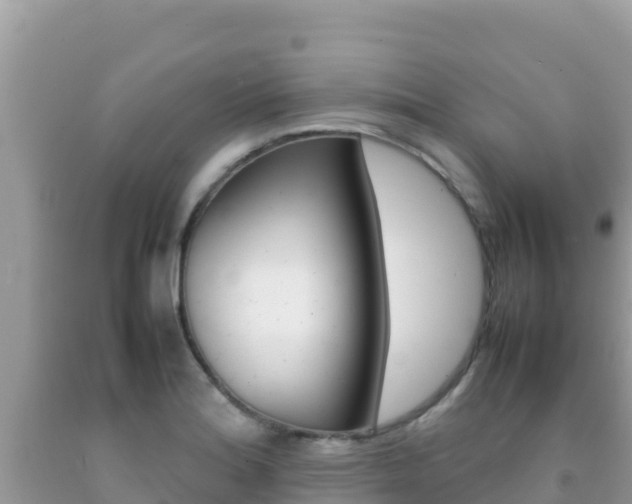 X0000092231180200709140936