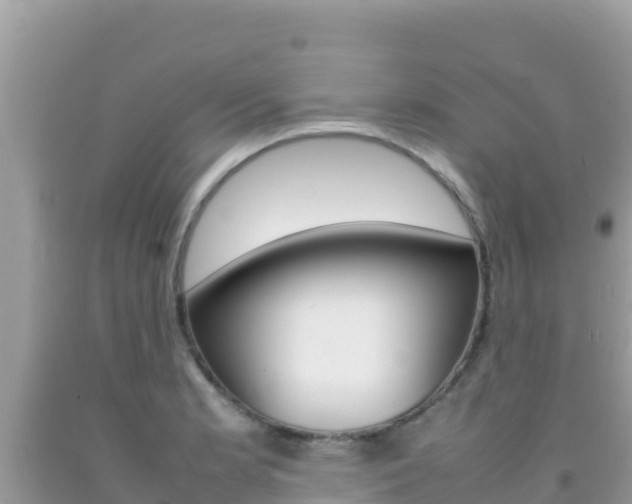 X0000092231181200709140936