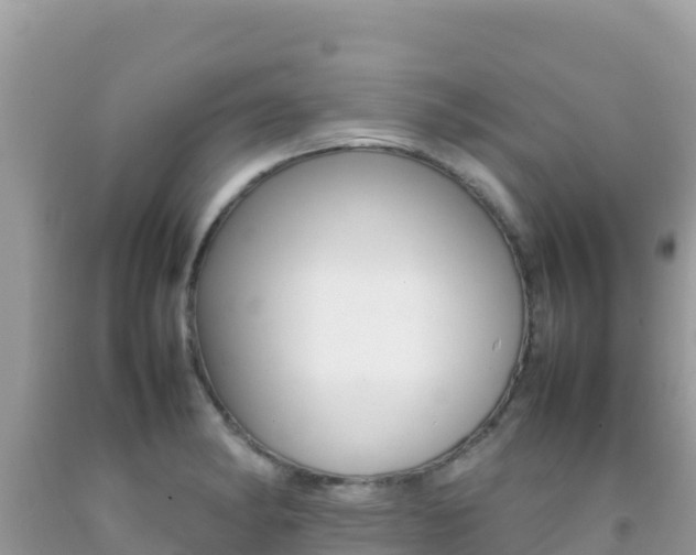 X0000092231182200709140936