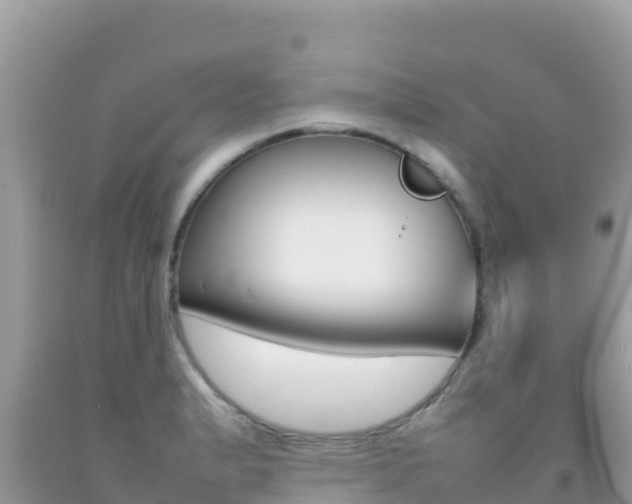 X0000092231183200709140936