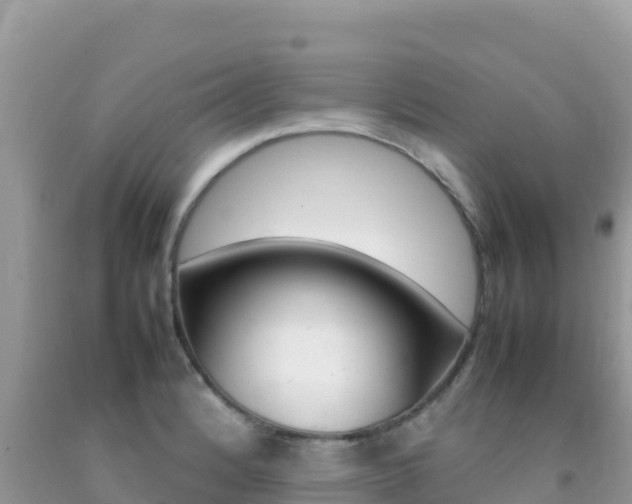 X0000092231184200709140936