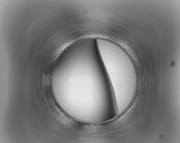 X0000092231185200709140936