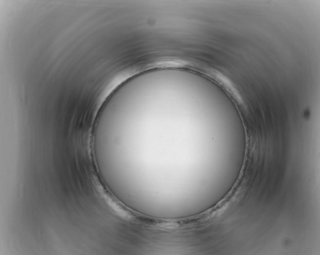 X0000092231186200709140936