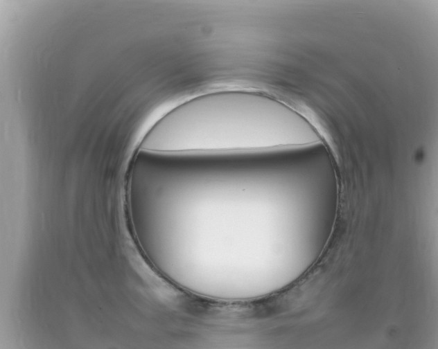X0000092231187200709140936