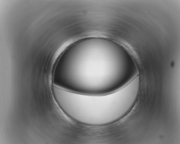 X0000092231188200709140936