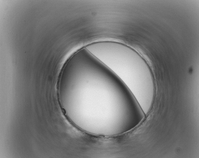 X0000092231189200709140936