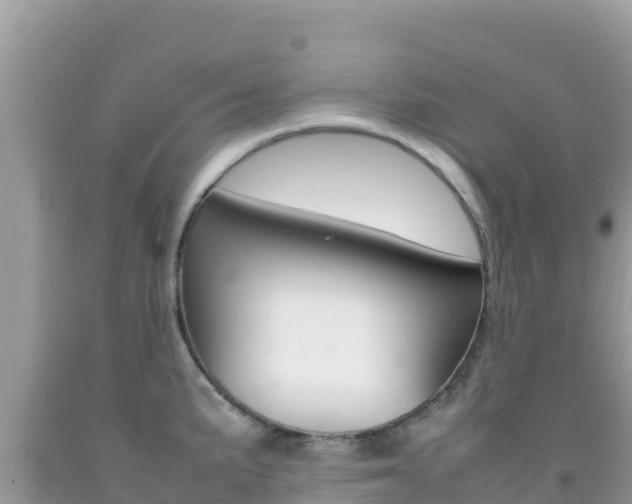 X0000092231191200709140936